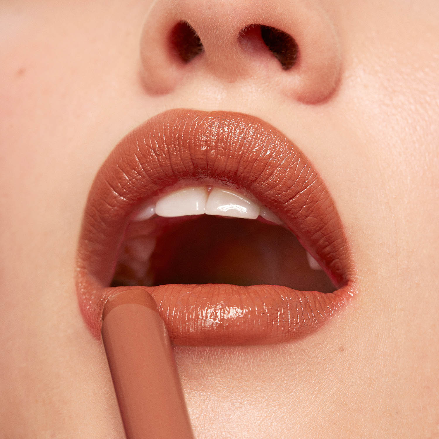 THE COLOR LIP GLOW (LABIAL HIDRATANTE CON ACABADO GLOW)